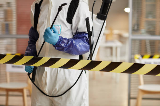 Professional Hoarding Cleanup technician working in Trufant, MI